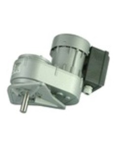 AGITADOR SIREM R1C245 N2B 21 RPM 230V