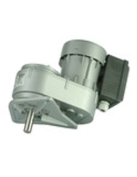 AGITADOR SIREM R1C245 N2B 21 RPM 230V