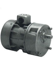 MOTORREDUCTOR SIREM R 225