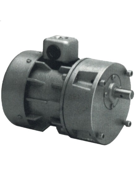 MOTORREDUCTOR SIREM R 225