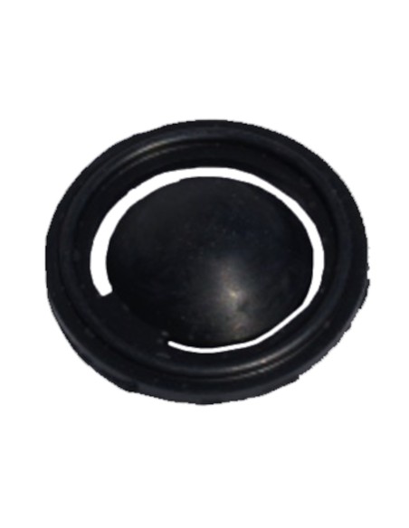 VÁLVULA B. LECHE WESTFALIA